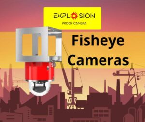FishEye Cameras
