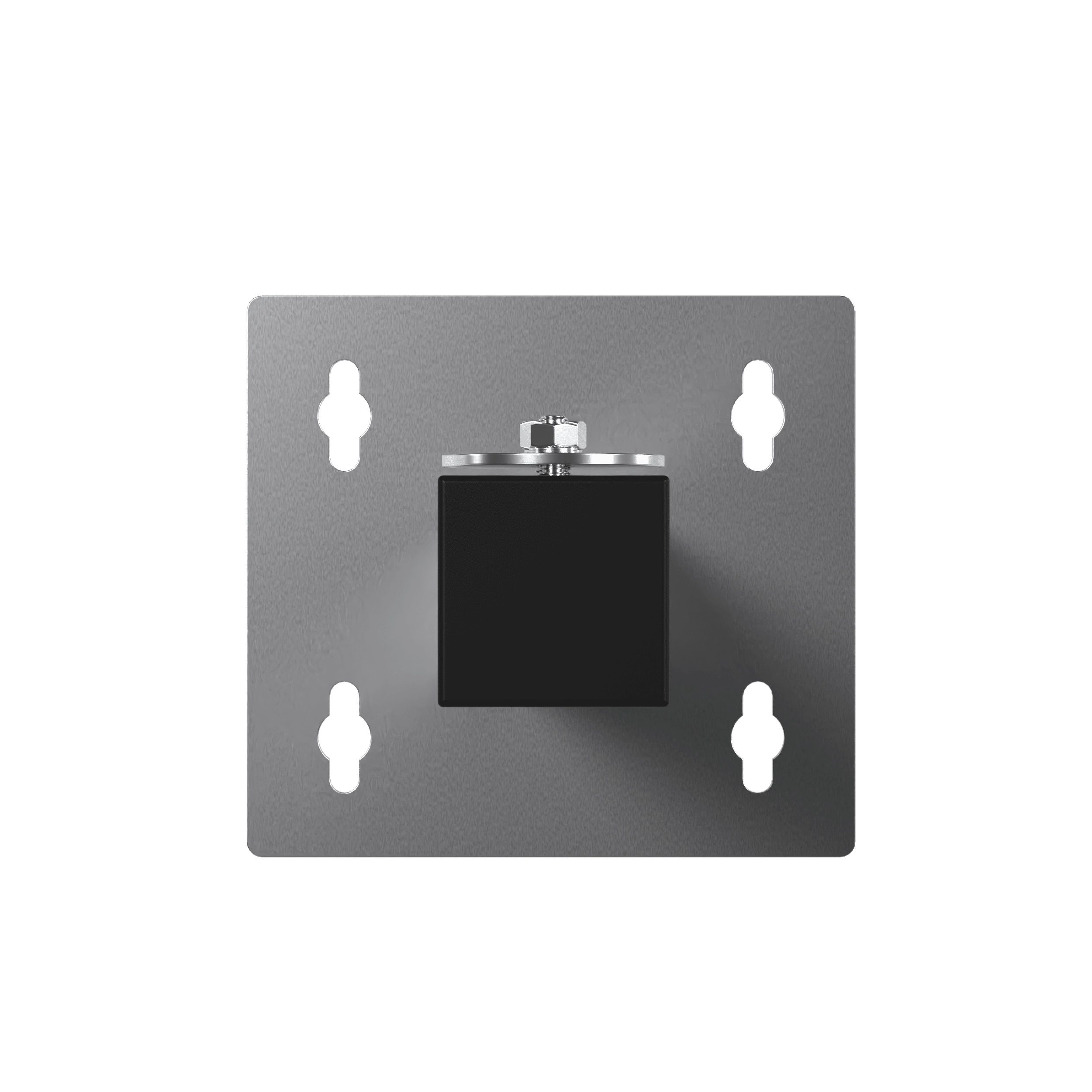 F2XX-WM - Explosion-Proof Accessory 1 F2XX-WM - Explosion-Proof Accessory